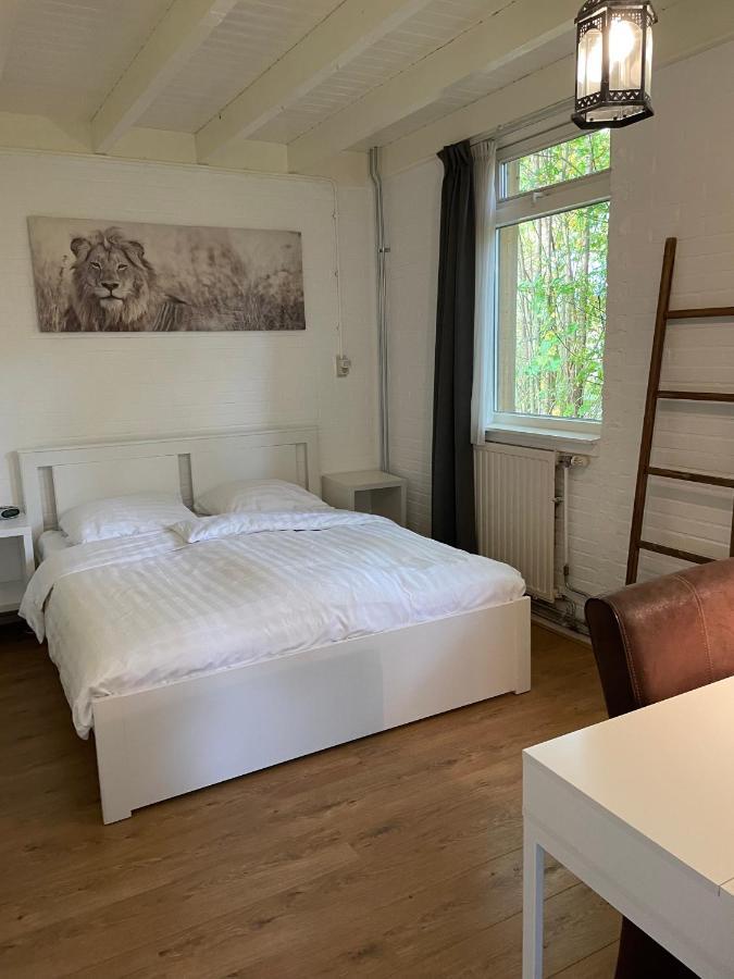 Tofino, Een Comfortabel Vakantiehuis Naast Een Bos En Zwemmeer Villa Gasselte Eksteriør bilde